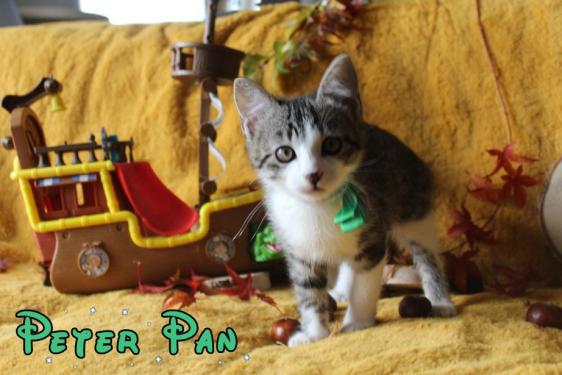PETERPAN