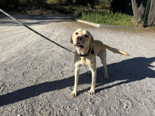 Marley