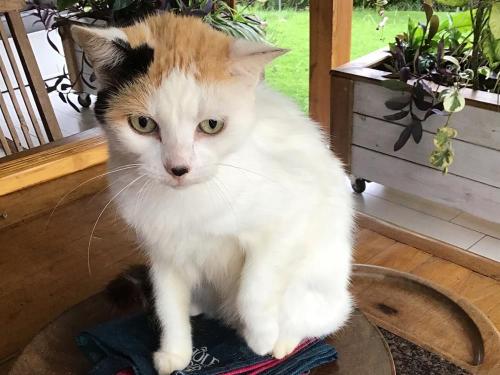 MINETTE