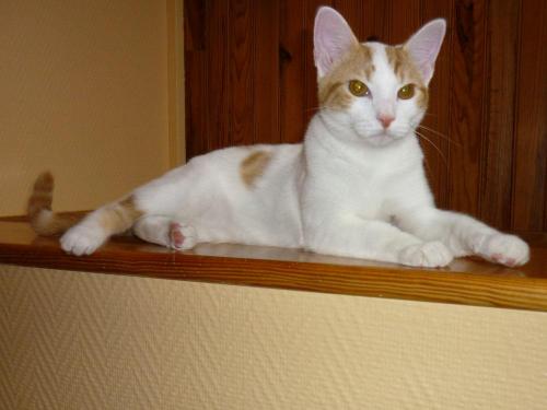 SWEETY